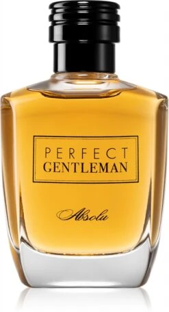 Art & Parfum Perfect Gentleman Absolu