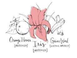 Atelier Cologne Iris Rebelle -Notino Parfum Cosmétiques atelier cologne iris rebelle eau de parfum mixte 2