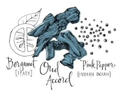 Atelier Cologne Oud Saphir -Notino Parfum Cosmétiques atelier cologne oud saphir eau de parfum mixte 5