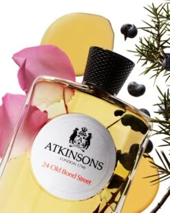 Atkinsons Iconic 24 Old Bond Street -Notino Parfum Cosmétiques atkinsons iconic 24 old bond street eau de cologne mixte 2