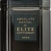 Avon Elite Gentleman Absolute Santal 1 Avon Elite Gentleman Absolute Santal -Notino Parfum Cosmétiques avon elite gentleman absolute santal eau de toilette pour homme