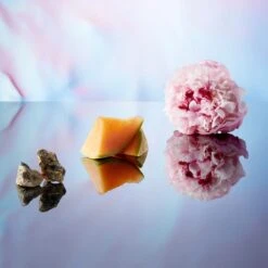 Banderas Blue Seduction For Her -Notino Parfum Cosmétiques banderas blue seduction for her eau de toilette pour femme 4