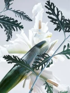 BULGARI Bvlgari Man Glacial Essence -Notino Parfum Cosmétiques bulgari bvlgari man glacial essence eau de parfum pour homme 3