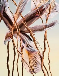 BULGARI Bvlgari Man Terrae Essence -Notino Parfum Cosmétiques bulgari bvlgari man terrae essence eau de parfum pour homme 3