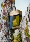 BULGARI Bvlgari Man Wood Essence -Notino Parfum Cosmétiques bulgari bvlgari man wood essence eau de parfum pour homme 1