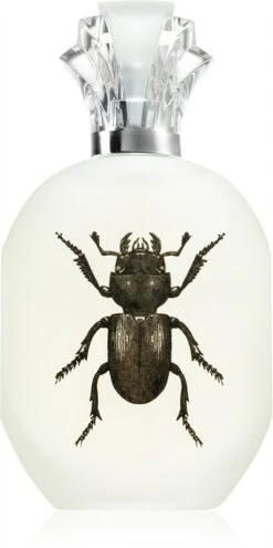 Captain Fawcett Alessandro Manfredini