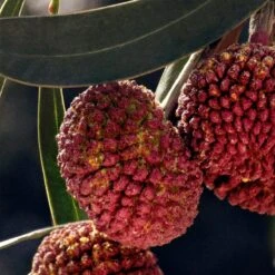 Chloé Chloé -Notino Parfum Cosmétiques chloe chloe eau de parfum pour femme 4