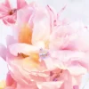 DIOR Miss Dior Blooming Bouquet -Notino Parfum Cosmétiques dior miss dior blooming bouquet eau de toilette notes fraiches et tendres 5