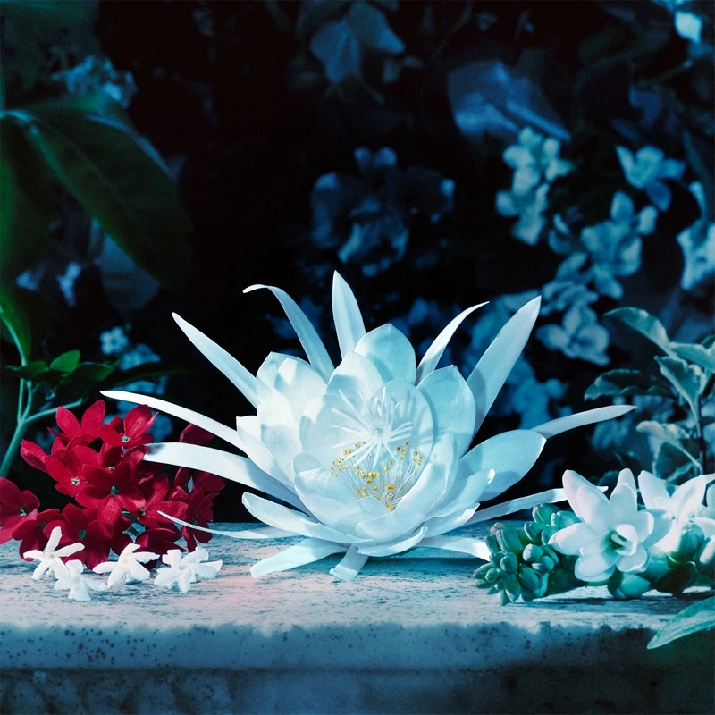 Gucci Bloom Intense Gucci Bloom Intense -Notino Parfum Cosmétiques gucci bloom intense eau de parfum pour femme 6