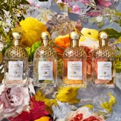 GUERLAIN Aqua Allegoria Nerolia Vetiver -Notino Parfum Cosmétiques guerlain aqua allegoria nerolia vetiver eau de toilette rechargeable pour femme 6