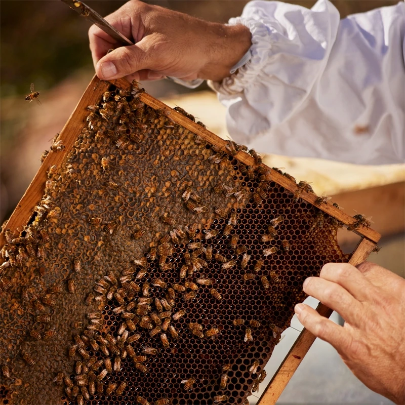 GUERLAIN Aqua Allegoria Nerolia Vetiver Harvest GUERLAIN Aqua Allegoria Nerolia Vetiver Harvest -Notino Parfum Cosmétiques guerlain aqua allegoria nerolia vetiver harvest eau de toilette pour femme edition limitee 4