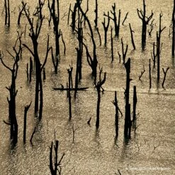 GUERLAIN Aqua Allegoria Rosa Rossa Forte 6 GUERLAIN Aqua Allegoria Rosa Rossa Forte -Notino Parfum Cosmétiques guerlain aqua allegoria rosa rossa forte eau de parfum rechargeable pour femme 4