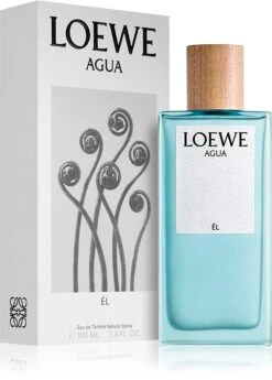 Loewe Agua Él -Notino Parfum Cosmétiques loewe agua el eau de toilette pour homme 1