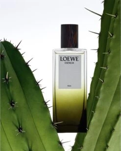 Loewe Esencia Elixir -Notino Parfum Cosmétiques loewe esencia elixir parfum pour homme 2