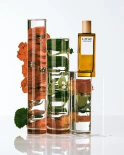 Loewe Loewe Pour Homme -Notino Parfum Cosmétiques loewe loewe pour homme eau de toilette pour homme 1