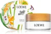 Loewe Paula’s Ibiza Eclectic -Notino Parfum Cosmétiques loewe paulas ibiza eclectic lait corporel parfume mixte 1