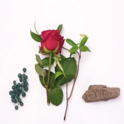 Mauboussin Elixir Pour Elle 4 Mauboussin Elixir Pour Elle -Notino Parfum Cosmétiques mauboussin elixir pour elle eau de parfum pour femme 1