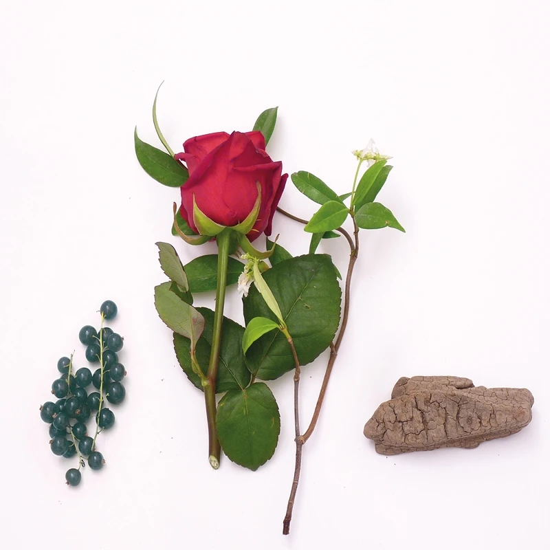 Mauboussin Elixir Pour Elle Mauboussin Elixir Pour Elle -Notino Parfum Cosmétiques mauboussin elixir pour elle eau de parfum pour femme 1