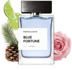 NOVELLISTA Blue Fortune -Notino Parfum Cosmétiques novellista blue fortune eau de parfum pour homme 3