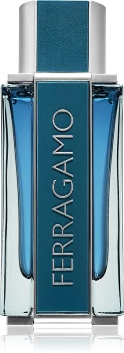 Salvatore Ferragamo Intense Leather