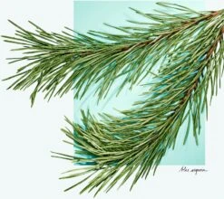 Tiffany & Co. Tiffany & Love 4 Tiffany & Co. Tiffany & Love -Notino Parfum Cosmétiques tiffany co tiffany love eau de parfum pour femme 3