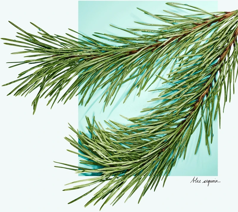 Tiffany & Co. Tiffany & Love Tiffany & Co. Tiffany & Love -Notino Parfum Cosmétiques tiffany co tiffany love eau de parfum pour femme 3