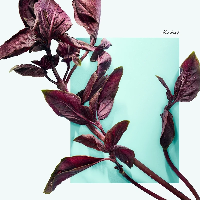 Tiffany & Co. Tiffany & Love Tiffany & Co. Tiffany & Love -Notino Parfum Cosmétiques tiffany co tiffany love eau de parfum pour femme 4