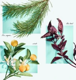 Tiffany & Co. Tiffany & Love 6 Tiffany & Co. Tiffany & Love -Notino Parfum Cosmétiques tiffany co tiffany love eau de parfum pour femme 5