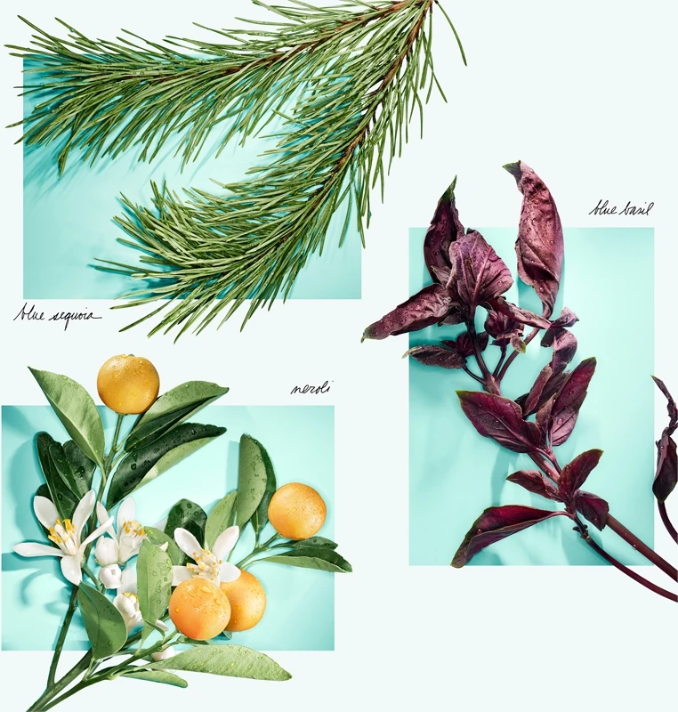 Tiffany & Co. Tiffany & Love Tiffany & Co. Tiffany & Love -Notino Parfum Cosmétiques tiffany co tiffany love eau de parfum pour femme 5